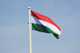 Hungarian Presidency: seizing the momentum for advancing cardiovascular care in Europe